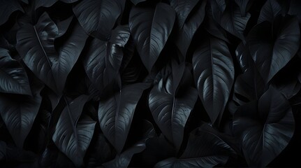 Textures of abstract black leaves for tropical leaf background. Flat lay, dark nature concept, tropical leaf, digital ai