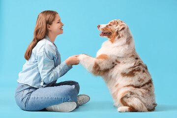 Young woman holding cute Australian Shepherd dog's paw on blue background