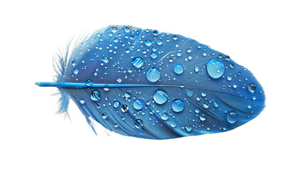 blue feather on a isolated or transparent background.