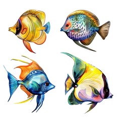 Four distinct fish species are displayed against a plain white backdrop in this photo