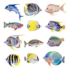 Various types of fish swimming together on a plain white surface