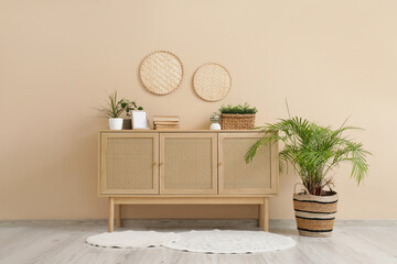 Wooden chest of drawers and houseplants near beige wall in modern of living room