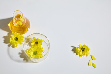 Flat lay natural ingredient on white texture, calendula flower and extract from its contained on...