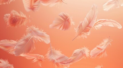 Serene Coral Background with Floating Feathers