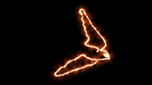 Self drawing animation with one continuous line draw, logo, burning fire bird swallow