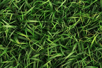 Close-up view of meticulously detailed green grass, showcasing the captivating intricacies of the natural world.
