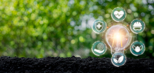 HSE, Health Safety Environment concept, Light bulb on soil with Health Safety Environment icon on virtual screen.