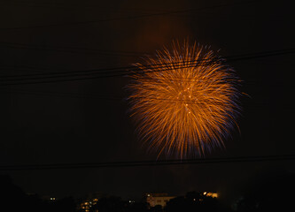 都市の夜空を彩る華麗な花火と電線