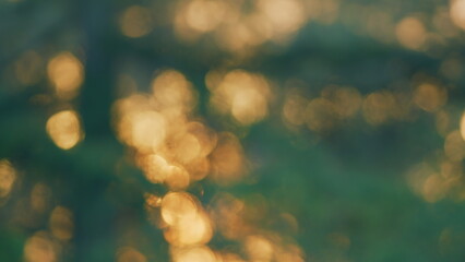 Soft Rays Shining. Blurry Sunset Or Sunrise Landscape And Defocused Particles. Blur.
