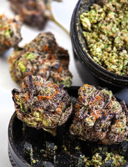 Black cannabis grinder filled with Marijuana and whole buds with selective focus on mottled grey. Cannabis strain with purple buds

