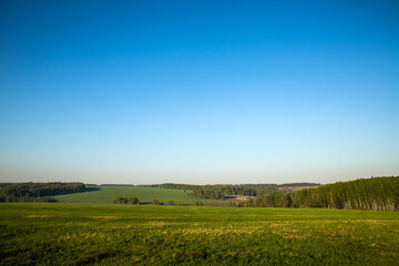 Obraz premium Scenic natural landscape with green field, trees, blue sky, and sunlight