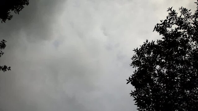inquadratura dettagliata, dal basso verso l'alto, con visuale rivolta verso il cielo, che mostra il passaggio e l'evoluzione delle nuvole scure di un temporale