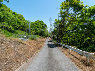 樹木が覆う峠道の風景