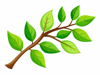 Summer tree branch with fresh green leaves vector illustration isolated on a white background.