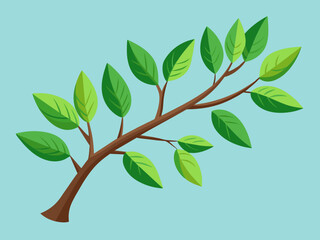  Summer tree branch with fresh green leaves vector illustration isolated on background.