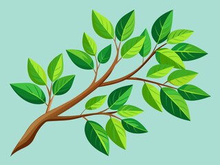  Summer tree branch with fresh green leaves vector illustration isolated on background.