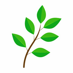  Summer tree branch with fresh green leaves vector illustration isolated on a white background.