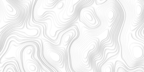 Abstract white paper cut background with line. 3d topography relief. Vector topographic illustration. realistic papercut decoration textured with wavy layer and shadow. seamless pattern wave design.