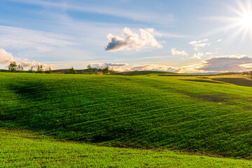 Green spring landscape with field and grass. Fairytale minimalist landscape with young growth on...