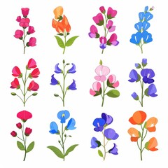 Sweet Pea Flower Icon Set, Garden Sweet Pea Flower Flat Design, Abstract Sweet Pea Flower Symbol