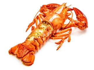 Grilled Lobster with Cheese on white background, Cook Canadian Lobster isolate on white with clipping path.