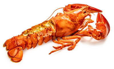 Steam Lobster on white background, Cook Canadian Lobster isolate on white with clipping path.