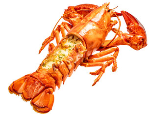 Steam Lobster on white background, Cook Canadian Lobster isolate on white with clipping path.