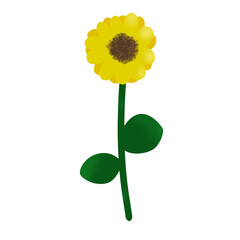 Sunflower illustration