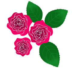 Red roses illustration