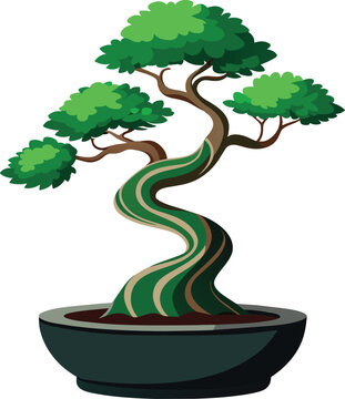 ficus bonsai tree vector illustration, Ficus retusa bonsai, Ara jejawi