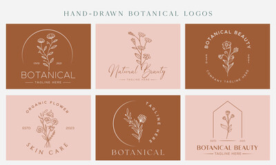 Floral element Botanical Hand Drawn Logo with Wild Flower and Leaves. Logo for spa and beauty salon, boutique, organic shop, wedding, floral designer, interior, photography, cosmetic