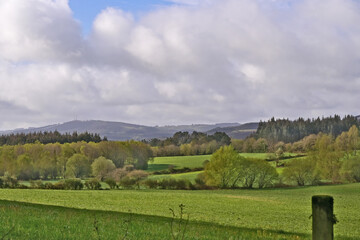 Obraz premium Colline, prati e vallate del cammino Primitivo di Santiago di Compostela - Guntín. Lugo. Galicia - Spagna