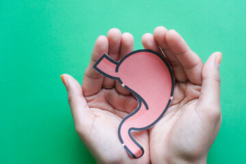 Hand holding human stomach on green background