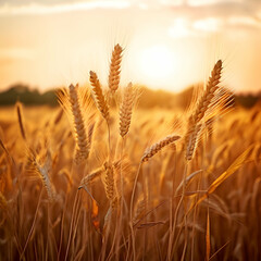 serene wheat field swaying in the gentle summer breeze with warm golden tones and ample