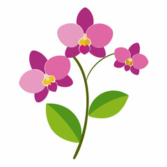 Fototapeta premium Orchid flowers with branch Vector illustration 