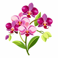 Orchid flowers with branch Vector  illustration 