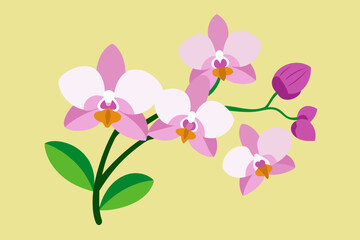 Orchid flowers with branch Vector  illustration 