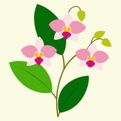 Orchid flowers with branch Vector  illustration 
