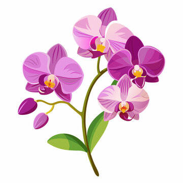 purple orchid flowers on green stem clip art preview