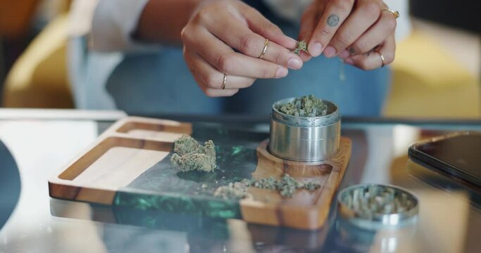 Hands, weed and grinder to prepare, smoke or cannabis for holistic health and wellness. Person, marijuana and plant for cbd, 420 or mental benefits for pharma stress relief and anxiety treatment