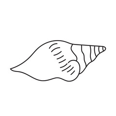 sea, vector, shell, ocean, outline, underwater, shellfish, water, design, illustration, isolated, marine, seashell, beach, seafood, scallop, aquatic, animal, nature, line, summer, graphic, drawing