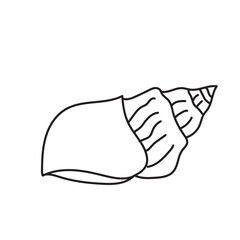 sea, vector, shell, ocean, outline, underwater, shellfish, water, design, illustration, isolated, marine, seashell, beach, seafood, scallop, aquatic, animal, nature, line, summer, graphic, drawing