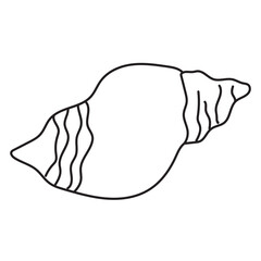 sea, vector, shell, ocean, outline, underwater, shellfish, water, design, illustration, isolated, marine, seashell, beach, seafood, scallop, aquatic, animal, nature, line, summer, graphic, drawing