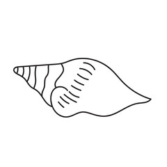 sea, vector, shell, ocean, outline, underwater, shellfish, water, design, illustration, isolated, marine, seashell, beach, seafood, scallop, aquatic, animal, nature, line, summer, graphic, drawing