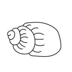 sea, vector, shell, ocean, outline, underwater, shellfish, water, design, illustration, isolated, marine, seashell, beach, seafood, scallop, aquatic, animal, nature, line, summer, graphic, drawing