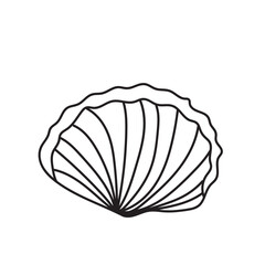 sea, vector, shell, ocean, outline, underwater, shellfish, water, design, illustration, isolated, marine, seashell, beach, seafood, scallop, aquatic, animal, nature, line, summer, graphic, drawing
