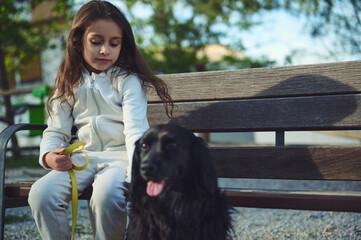 Portrait of a cute little child girl and her pet, cocker spaniel dog on the bench outdoors. Cute...
