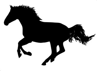 silhouette of horse - animal - illustration of horse