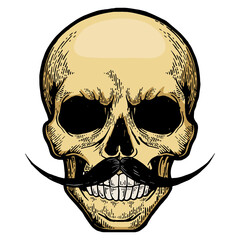 Human skull sketch engraving PNG illustration. T-shirt apparel print design. Scratch board style imitation. Black and white hand drawn image.