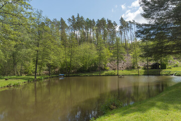 Fototapeta premium River called Nuhne near the german village called Schreufa